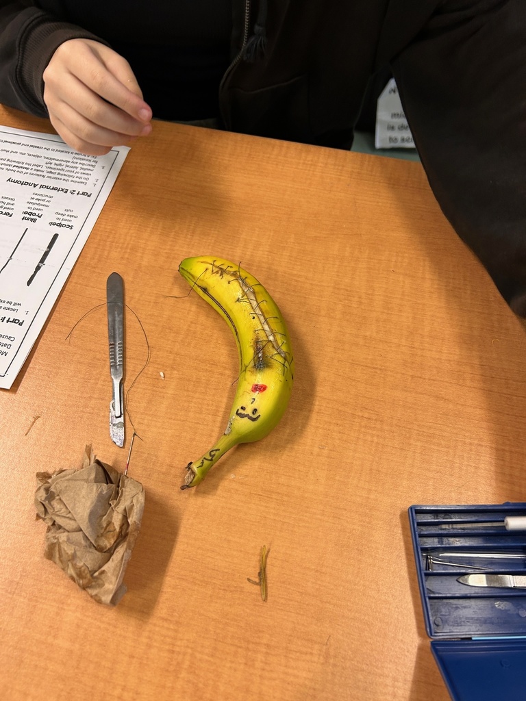 a student prepares their banana for burial