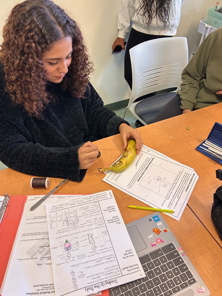 a student sews up her banana