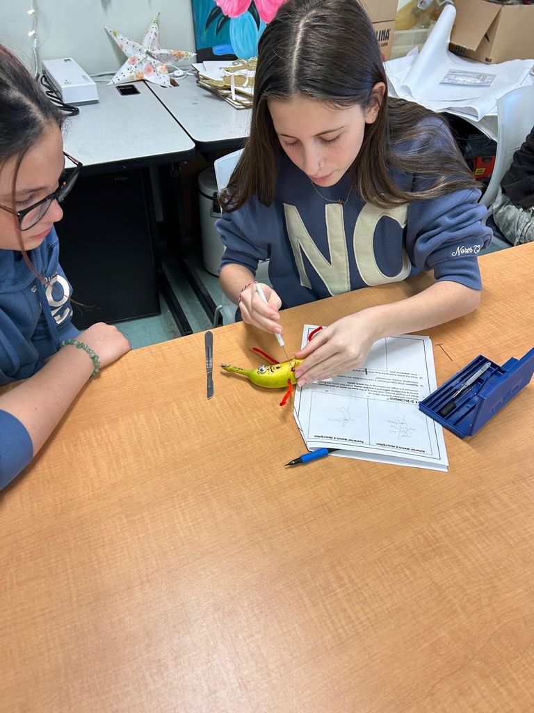 students perform autopsies on bananas