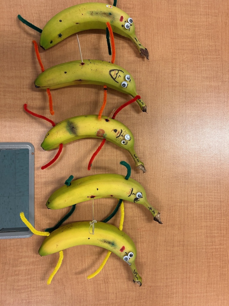 5 banana victims