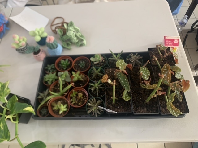 Different types of plants