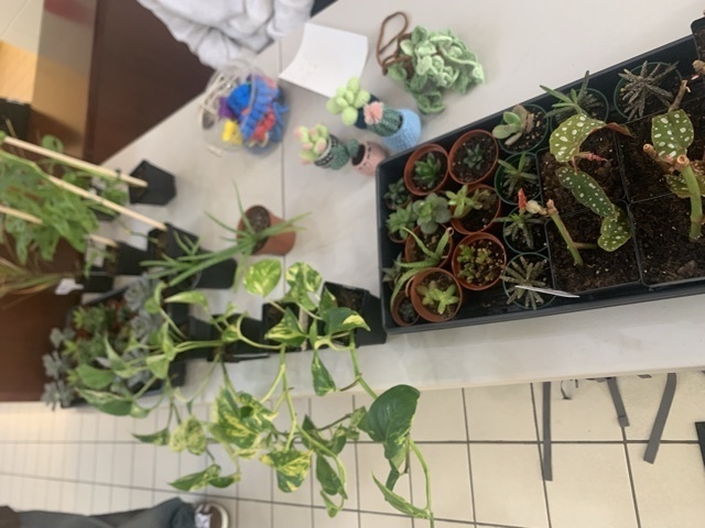 Some more plants for sale