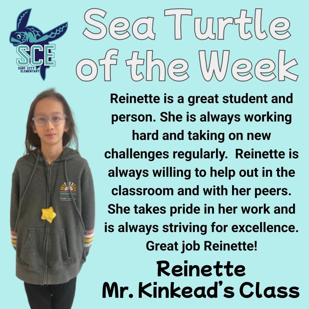 sea turtle of the week announcement