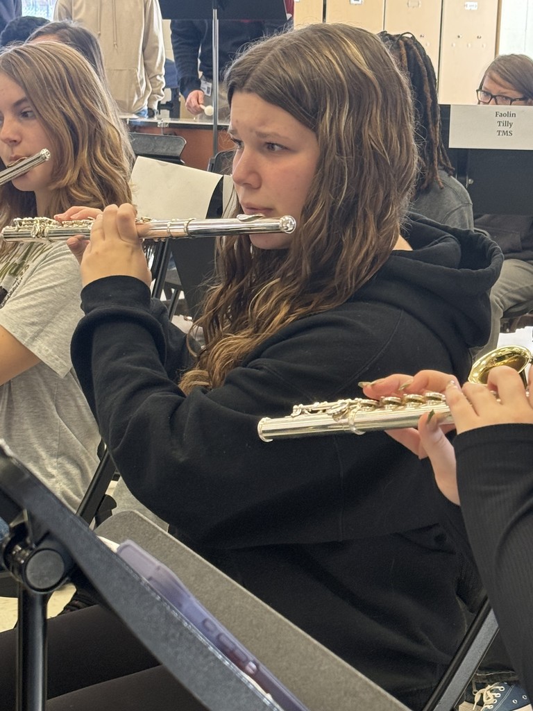 All county band clinic concert pictures.