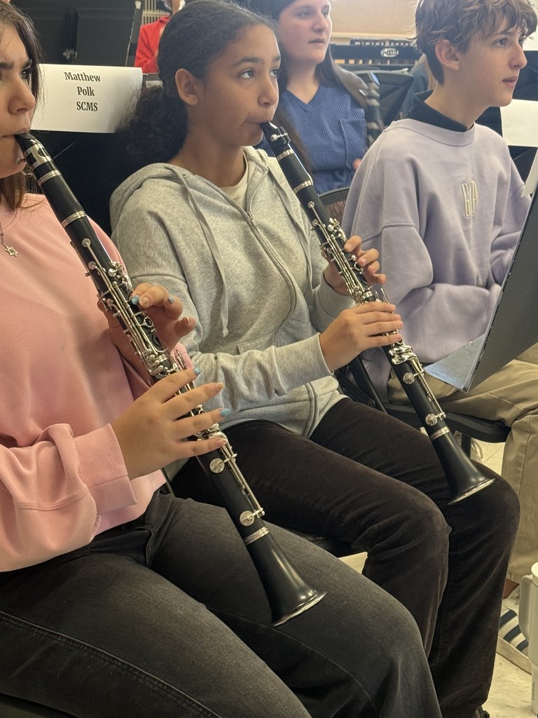 All county band clinic concert pictures.