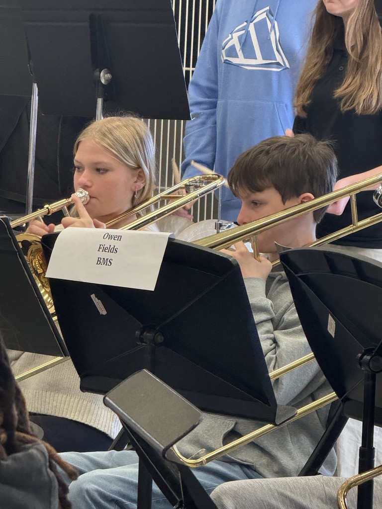 All county band clinic concert pictures.