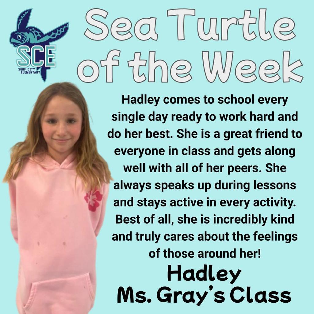 sea turtle of the week announcement