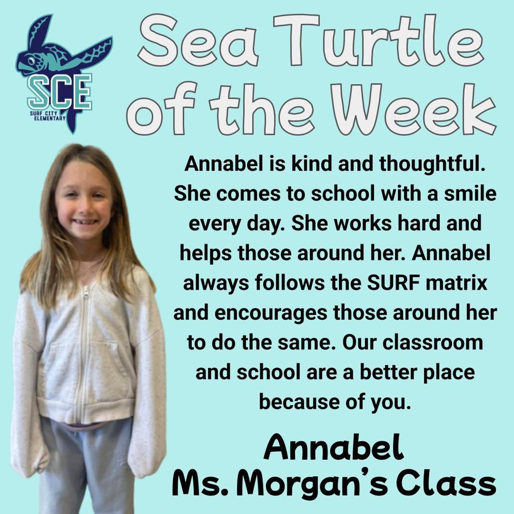 sea turtle of the week announcement