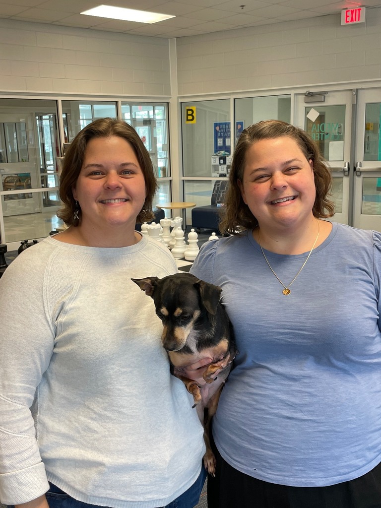 school cunselor's week