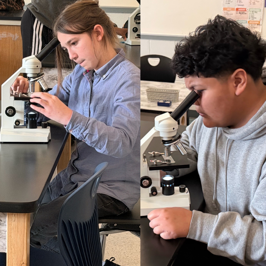 students using microscopes