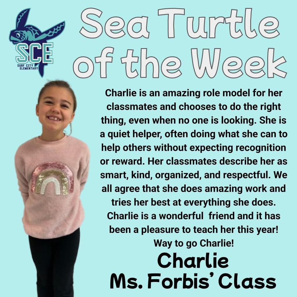 sea turtle of the week announcement