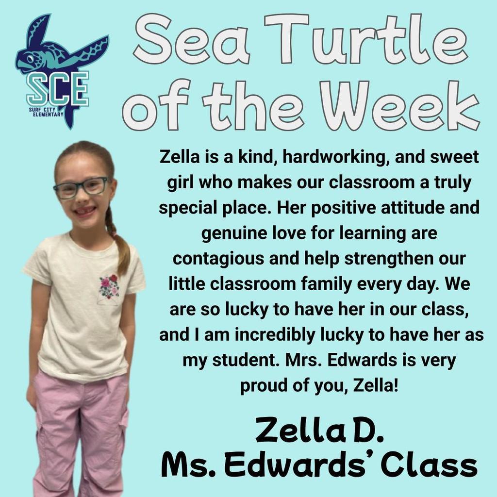 sea turtle of the week announcement
