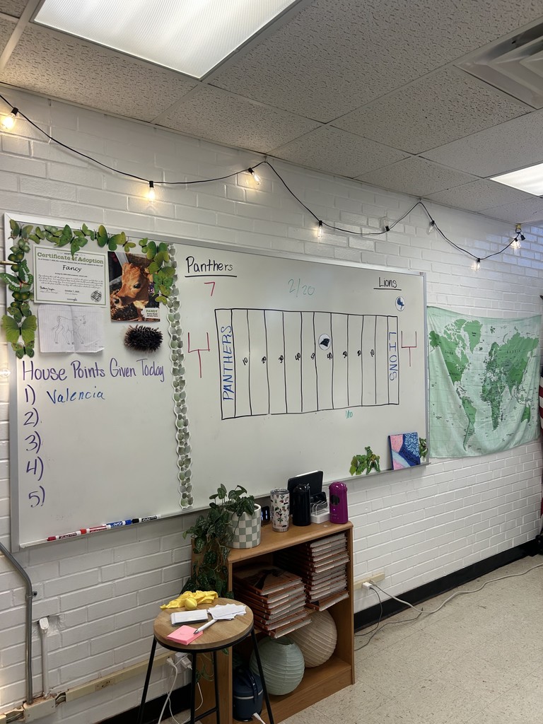 Social Studies Football Frenzy