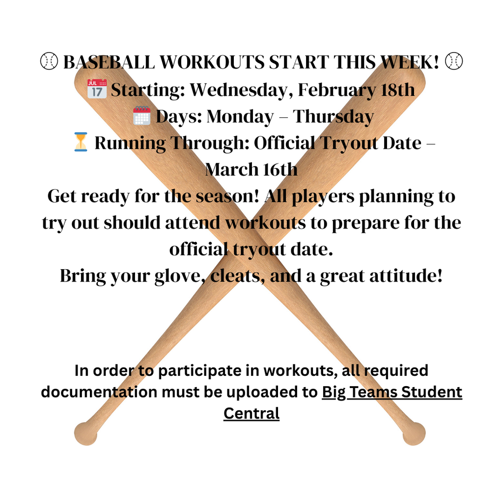 Baseball workouts flyer