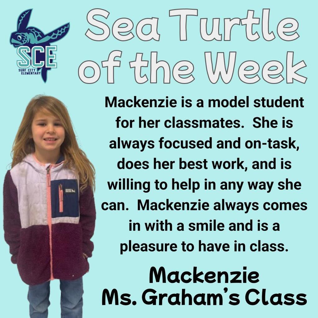 sea turtle of the week announcement