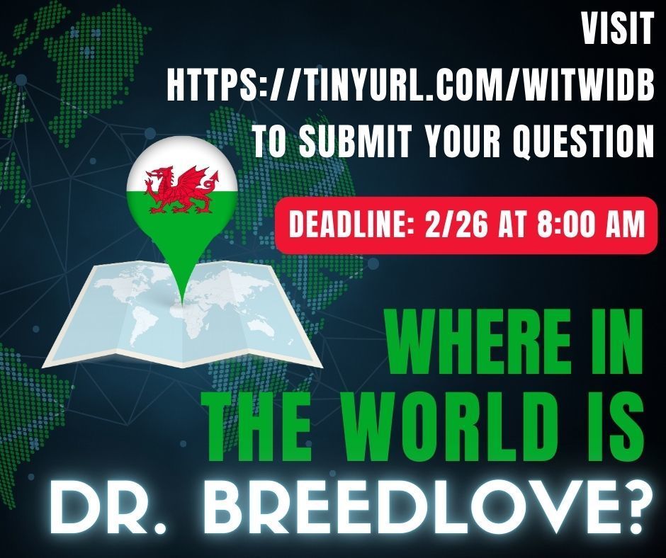 Dr. Breedlove