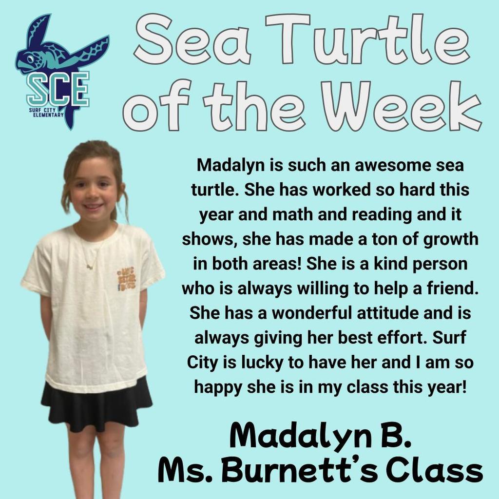 sea turtle of the week announcement