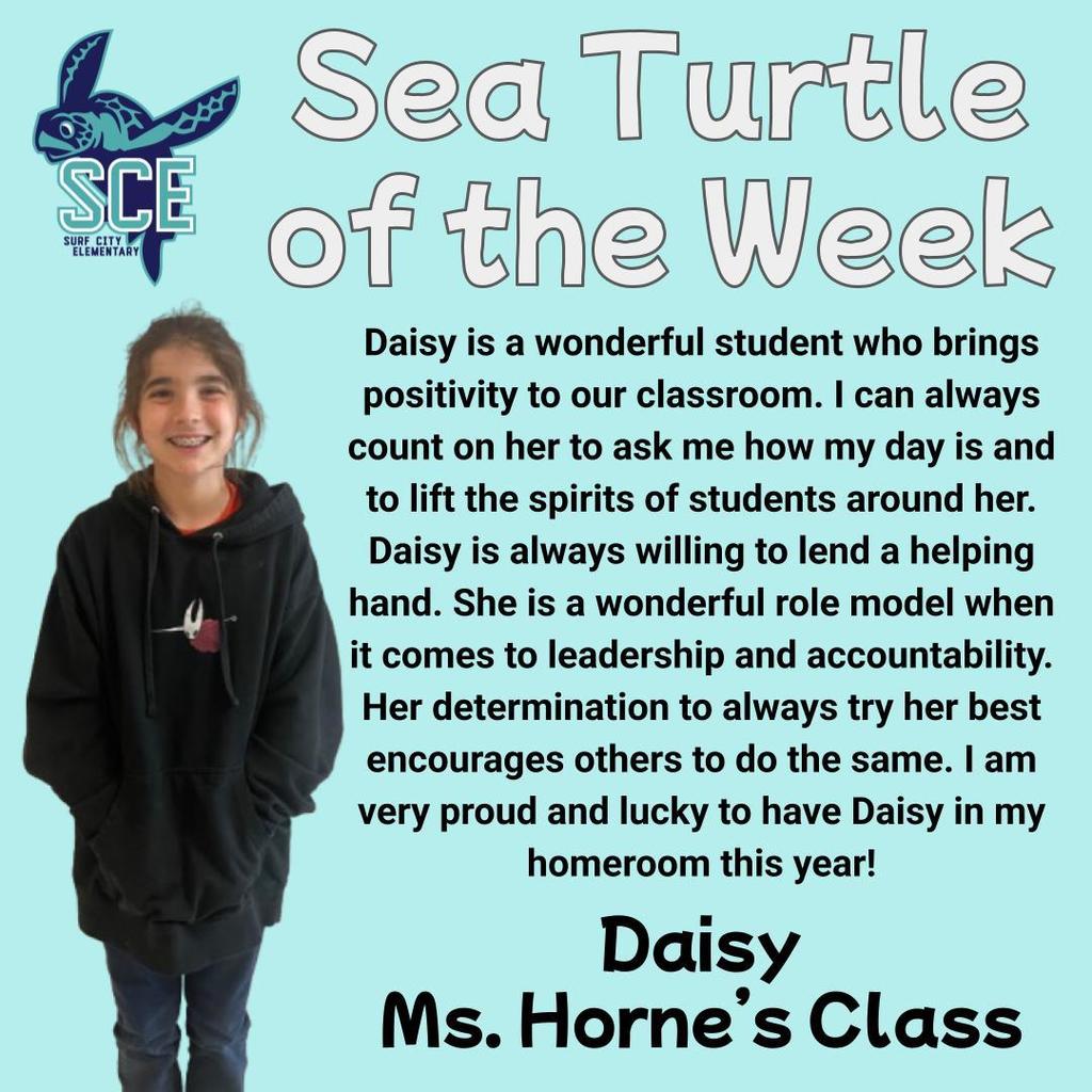 sea turtle of the week announcement