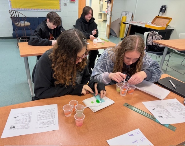 students working on lab