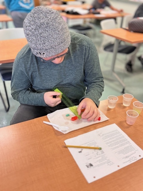 students working on lab