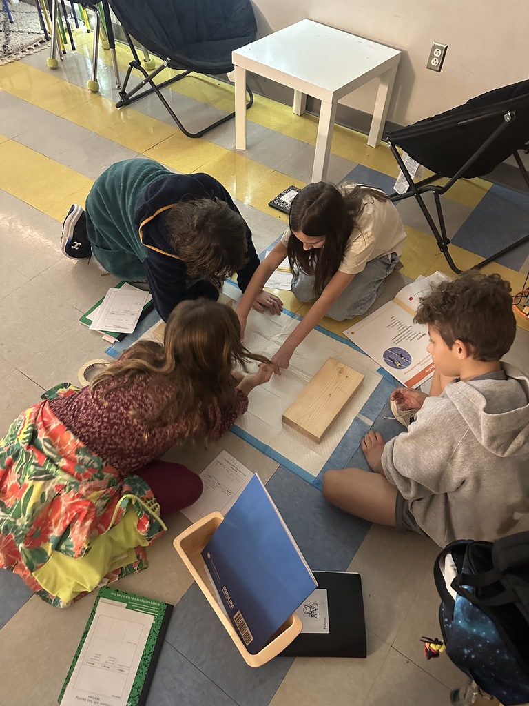 4th graders working on a marble lab