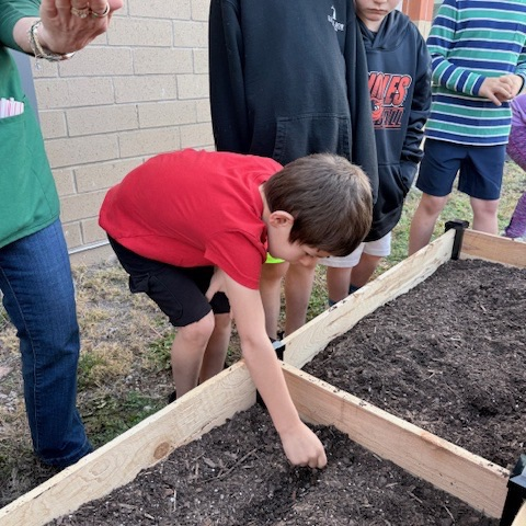 first graders doing a plant lesson with the master gardeners 