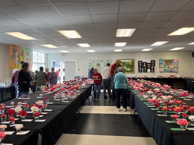 Camellias were on display at the Arboretum in Wilmington