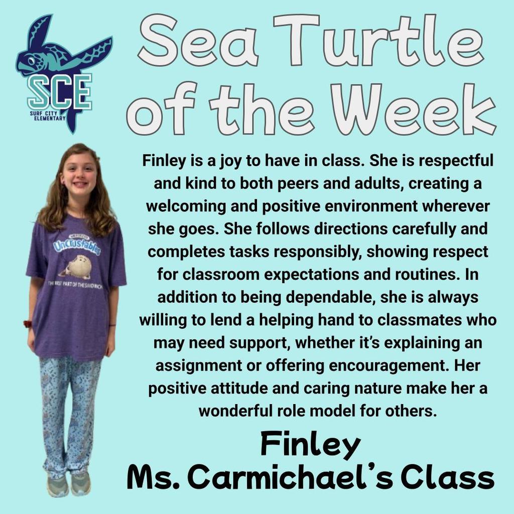sea turtle of the week announcement