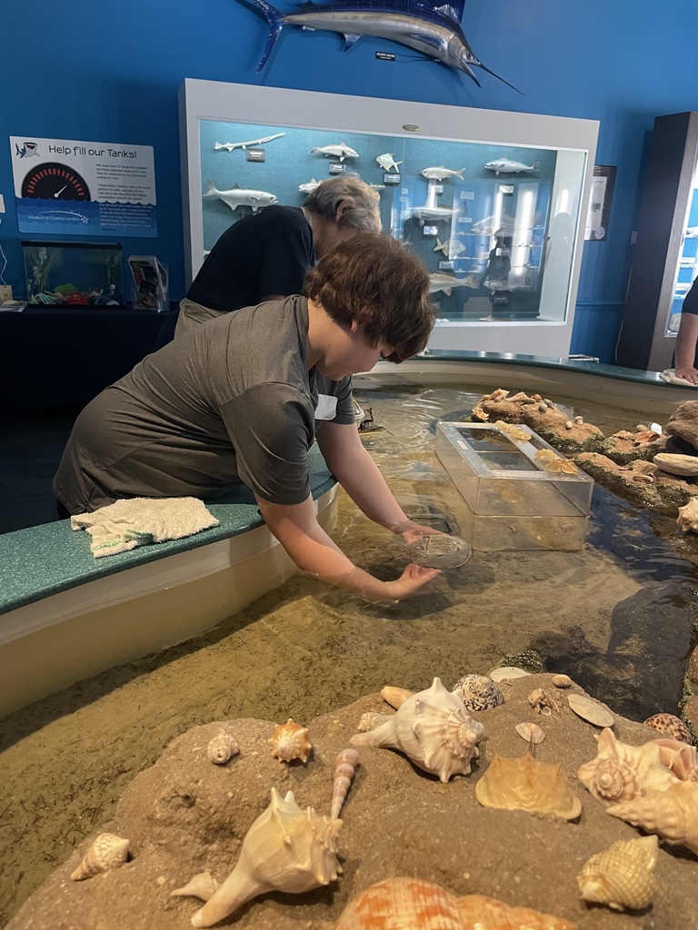 6th grade field trip