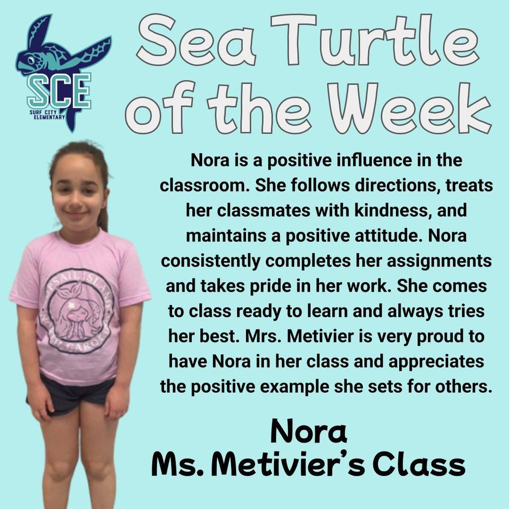 sea turtle of the week announcement
