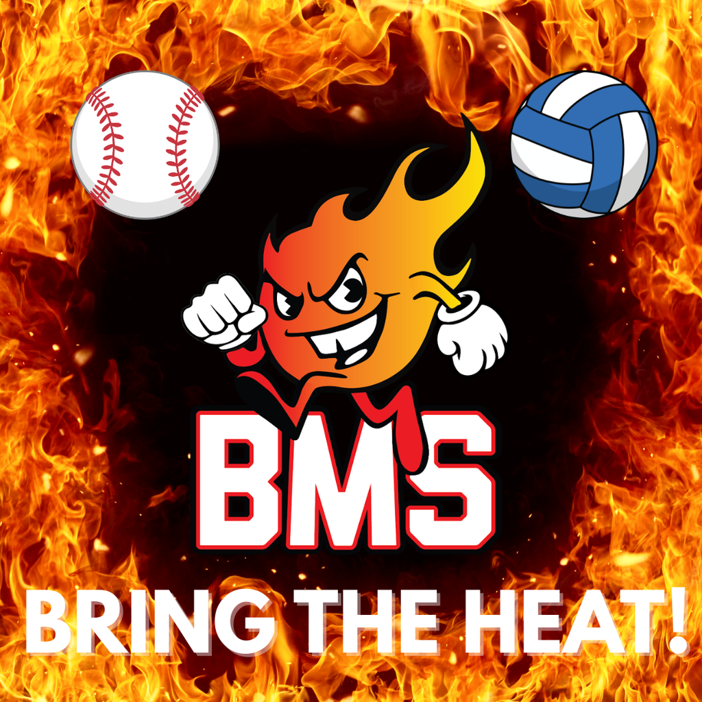 basebally and volleyball flyer