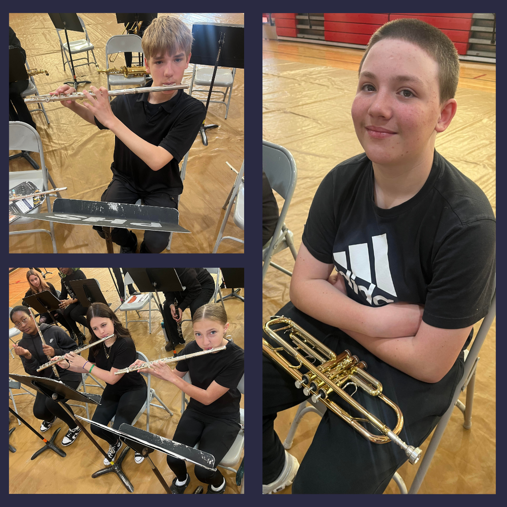 BMS Band Performance