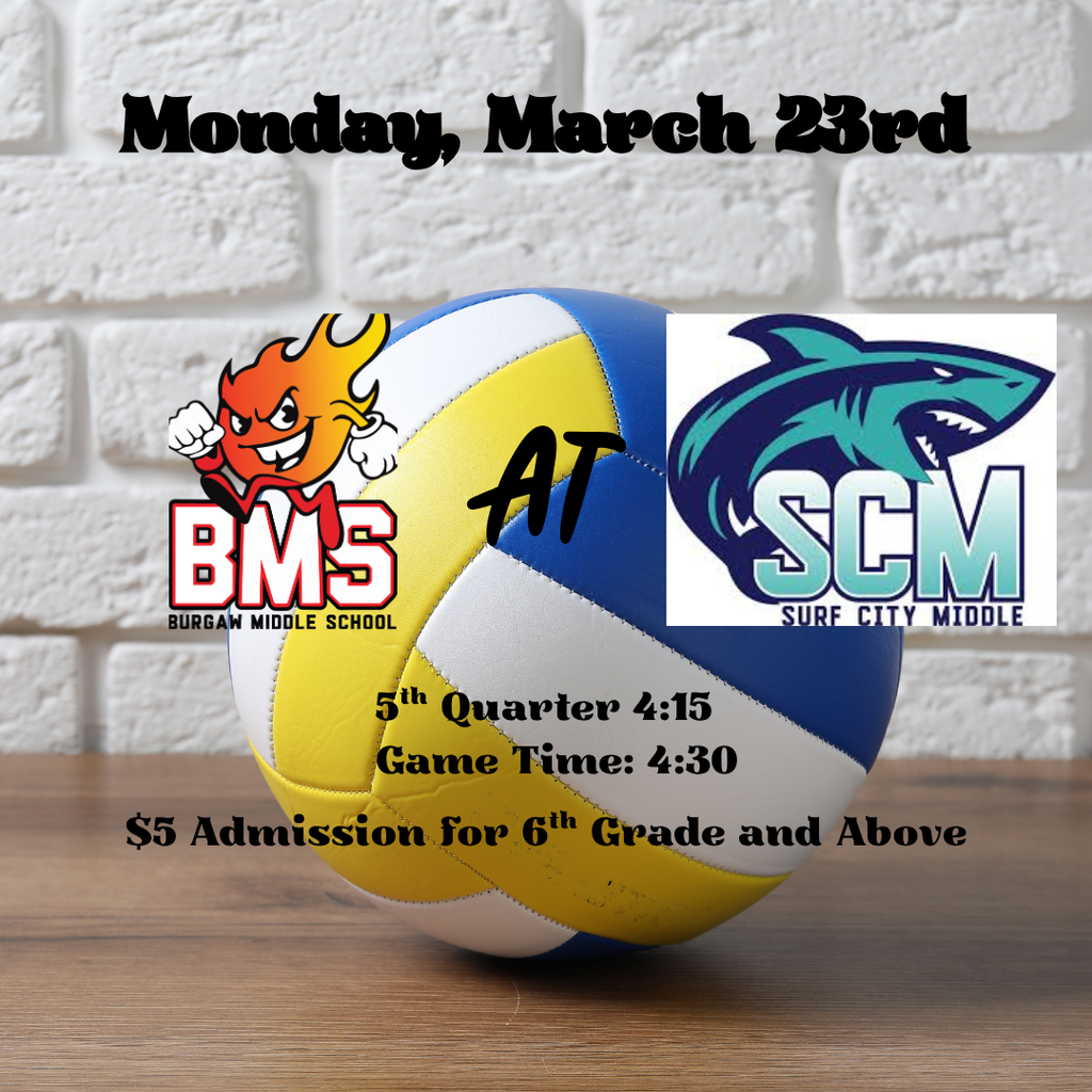 volleyball game flyer
