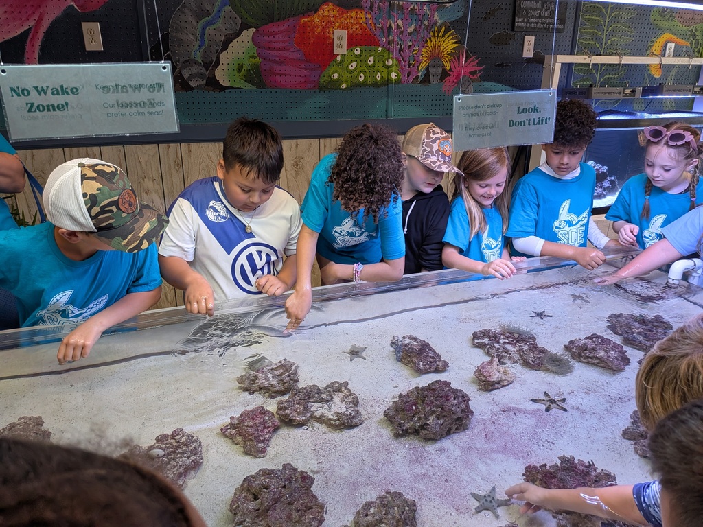 2nd graders on a field trip to the beach with EMA