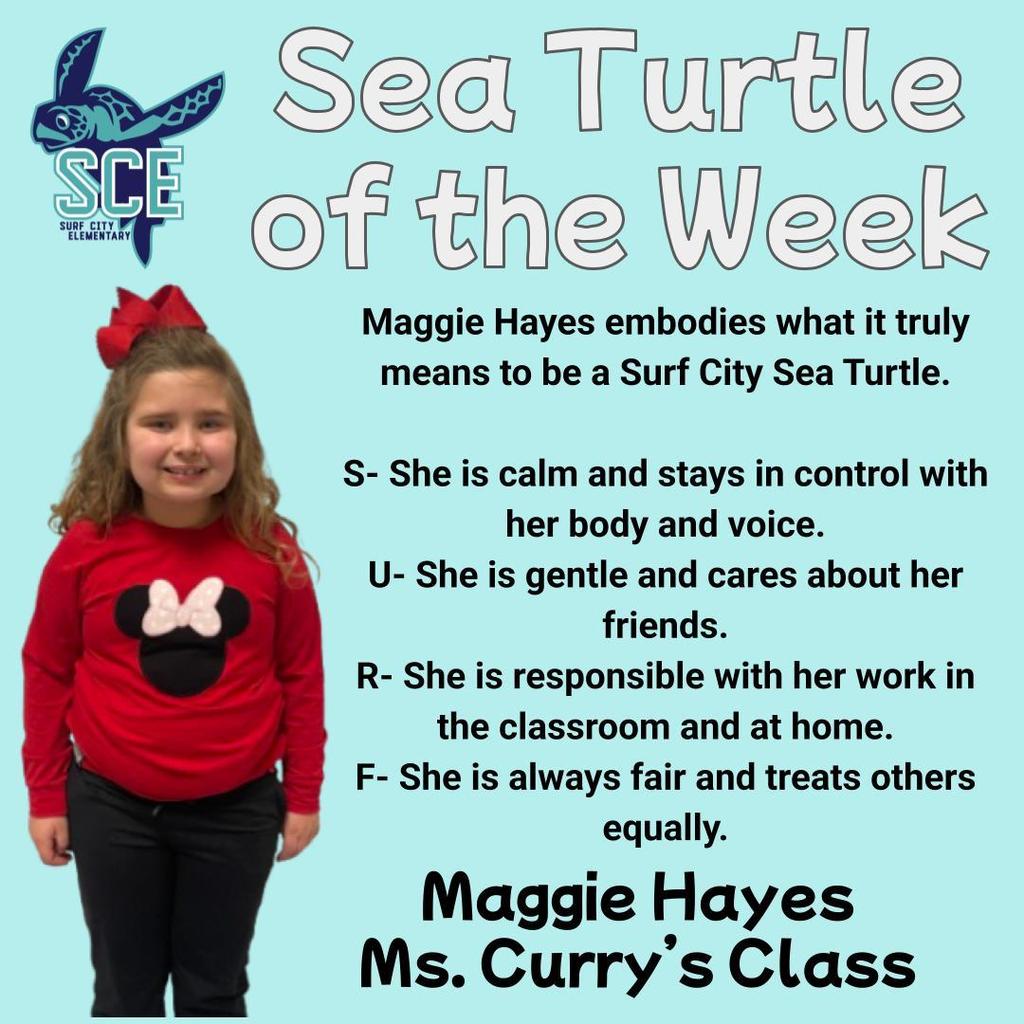 sea turtle of the week announcement