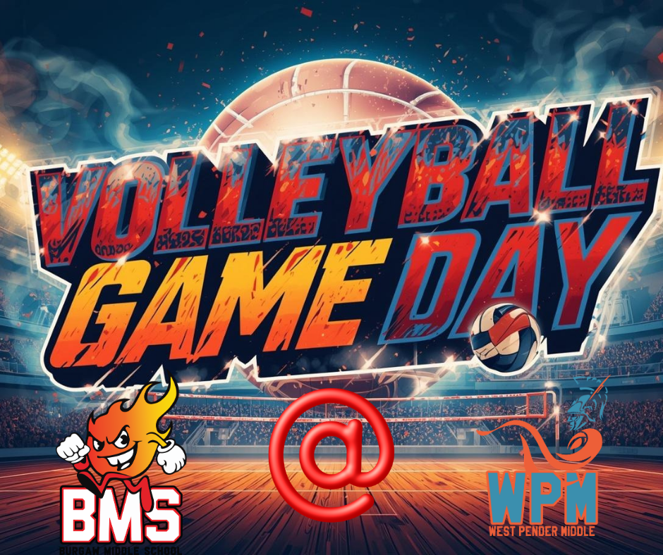 Home volleyball game