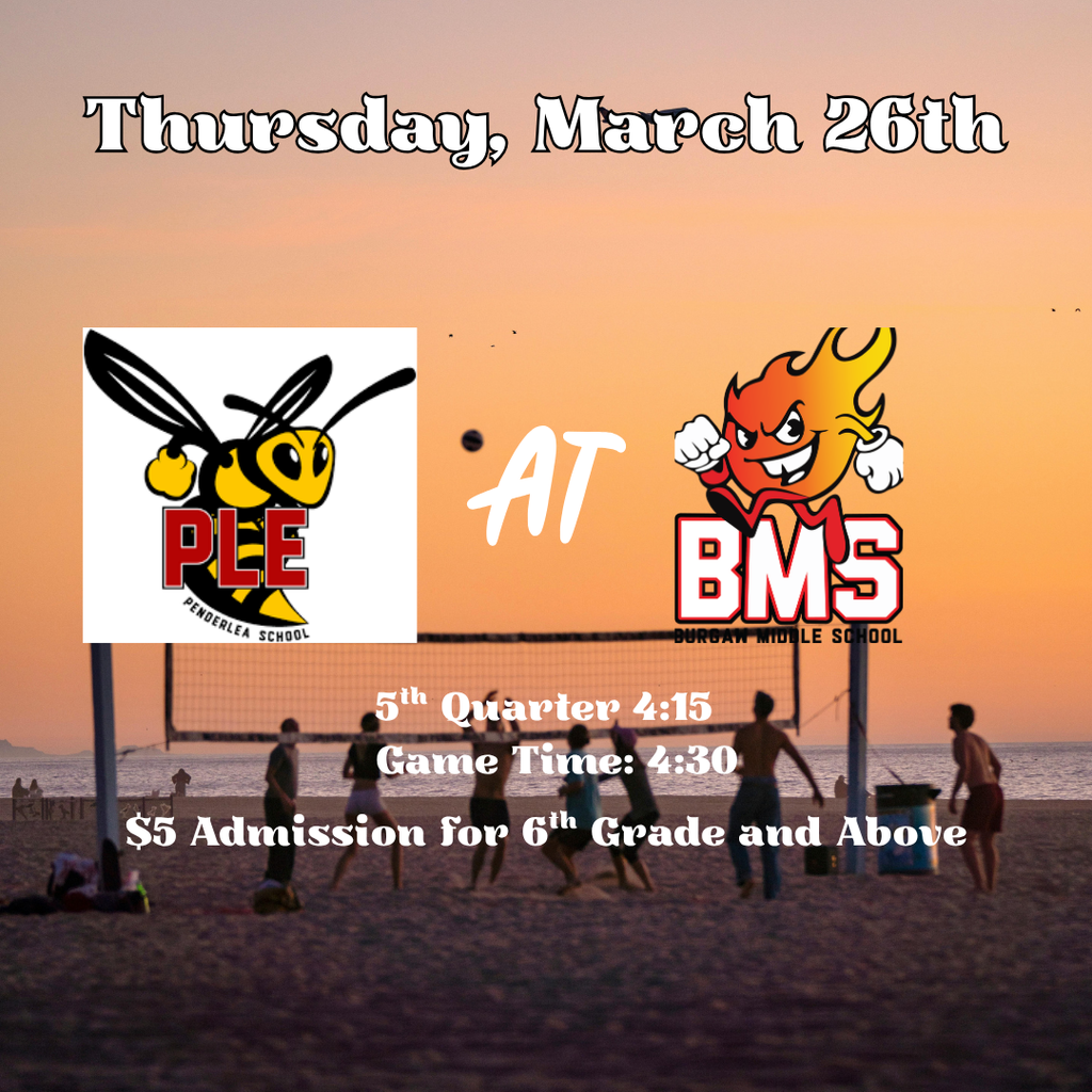 volleyball game flyer