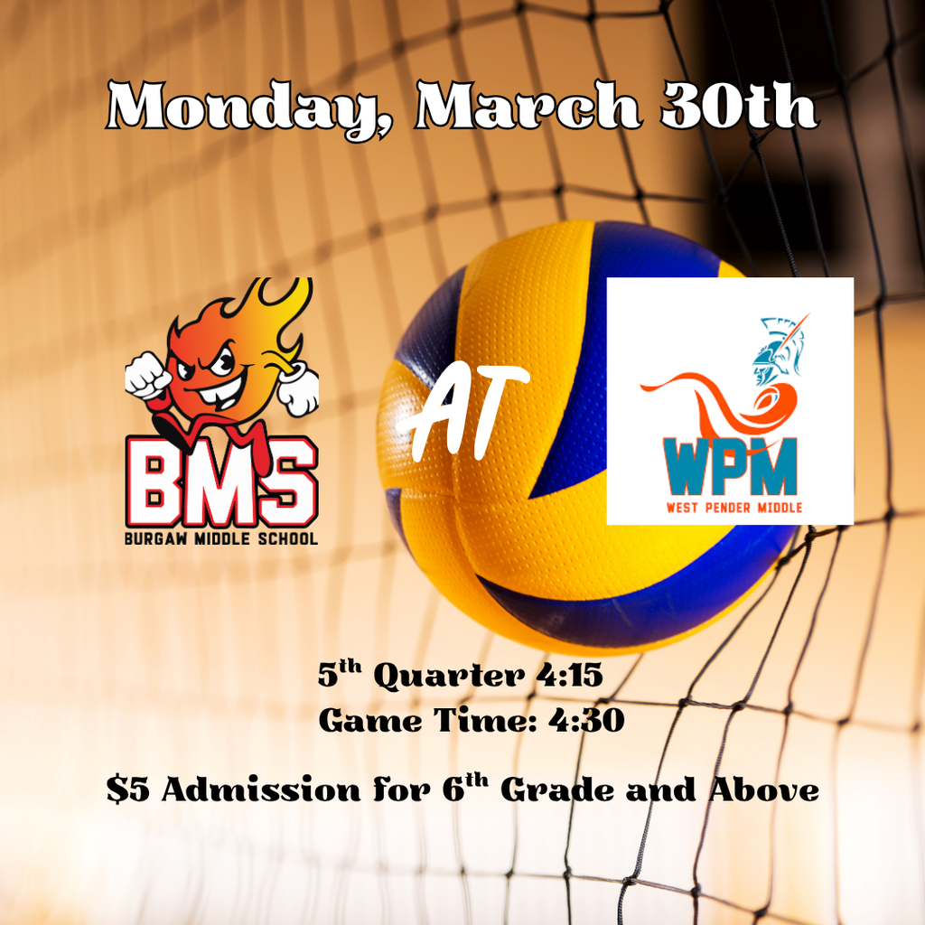 volleyball game flyer