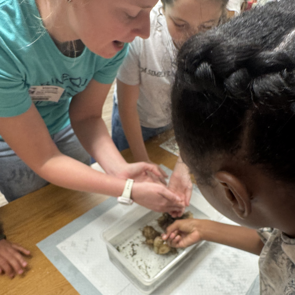 students at marine quest field trip