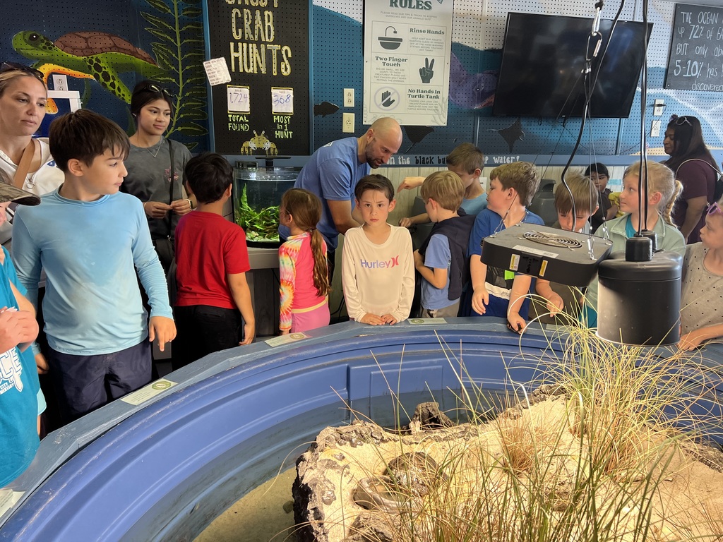 2nd graders on a field trip to the beach with EMA