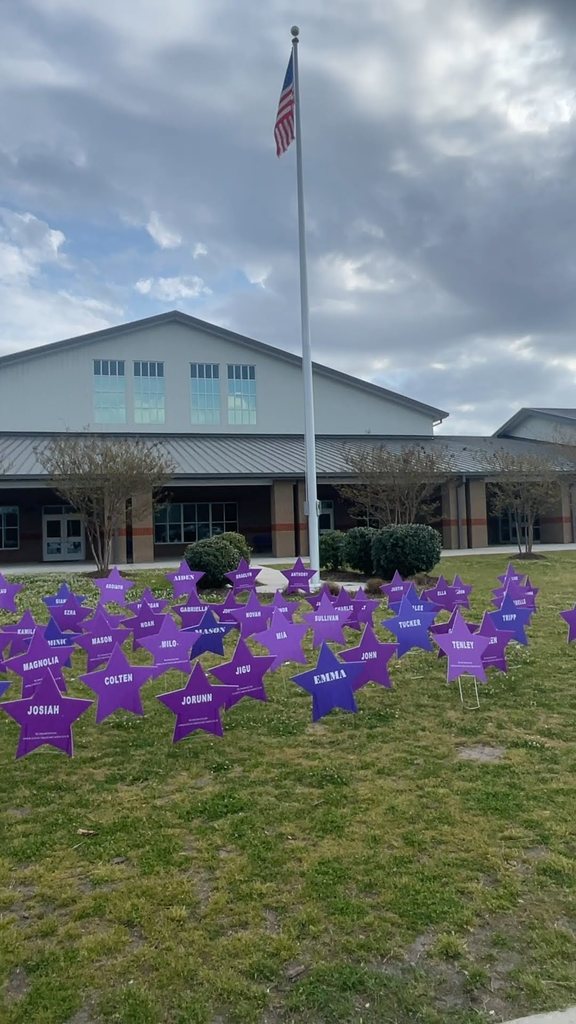 purple stars on the front lawn of a school