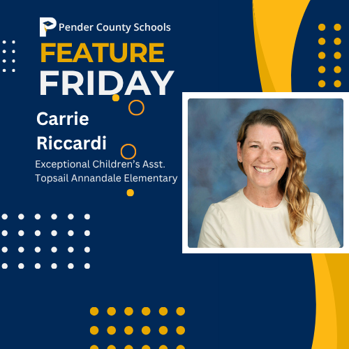 feature friday carrie riccardi  taes