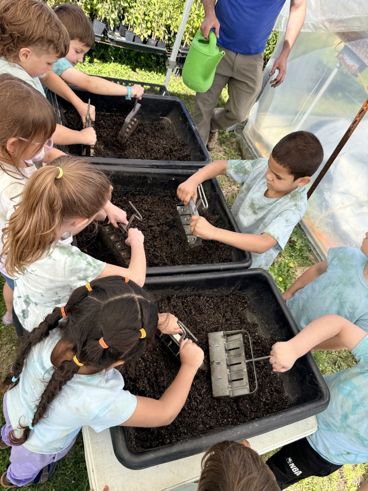 soil block
