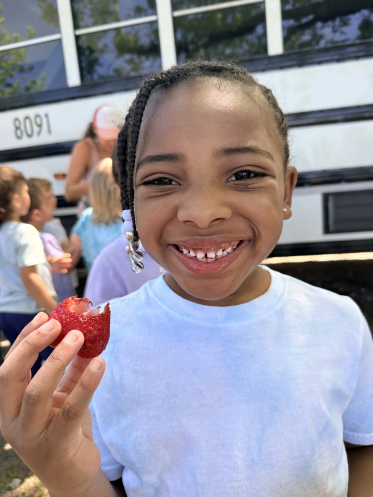 strawberries