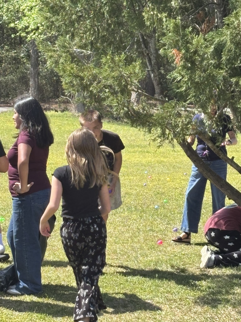 Egg Hunt pictures.