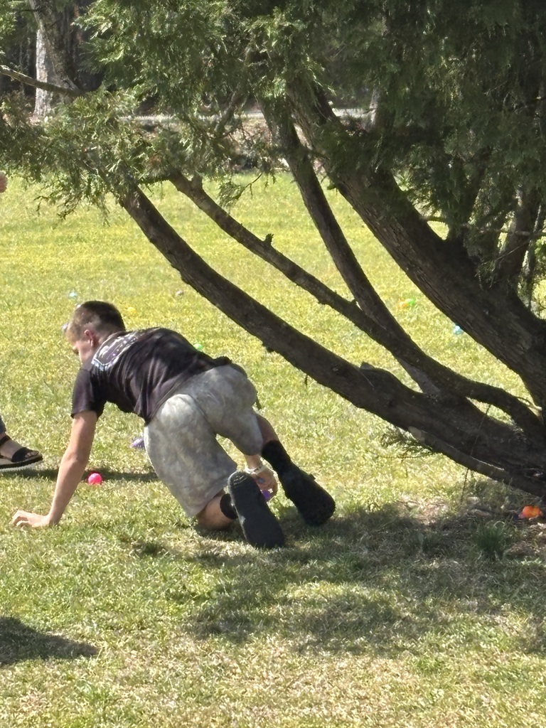 Egg Hunt pictures.