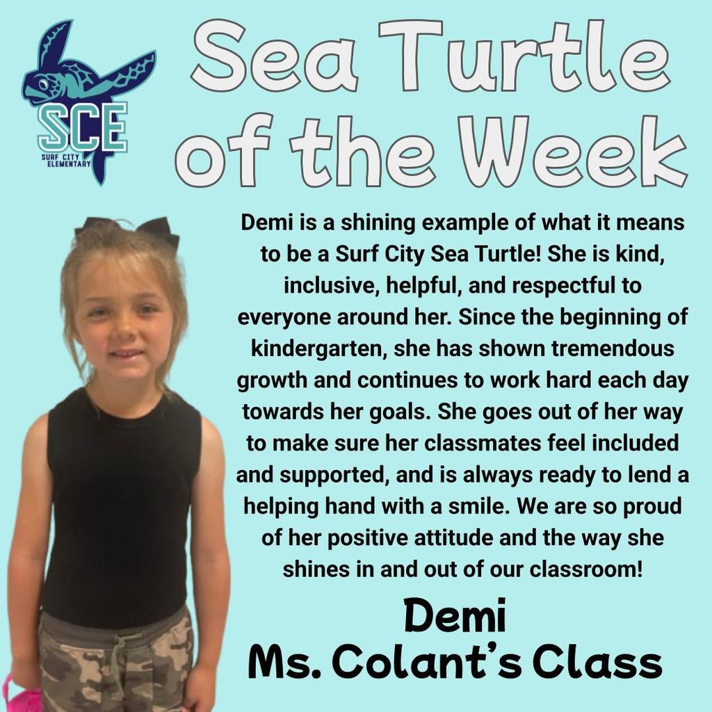 sea turtle of the week announcement