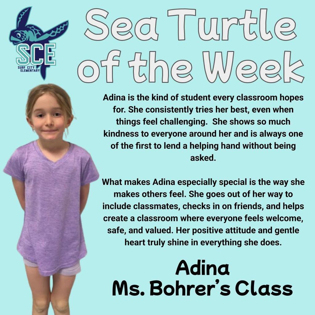 sea turtle of the week announcement