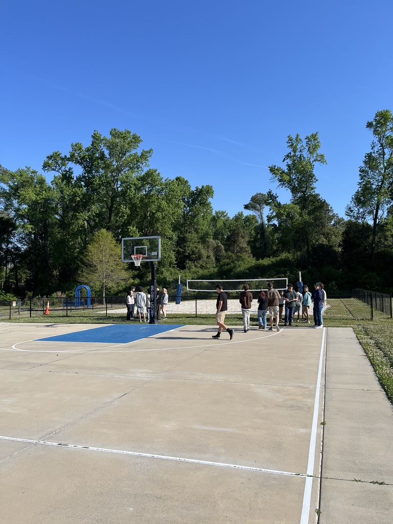 Spies or not, alliances in the build up to war were important in the causes of World War I.