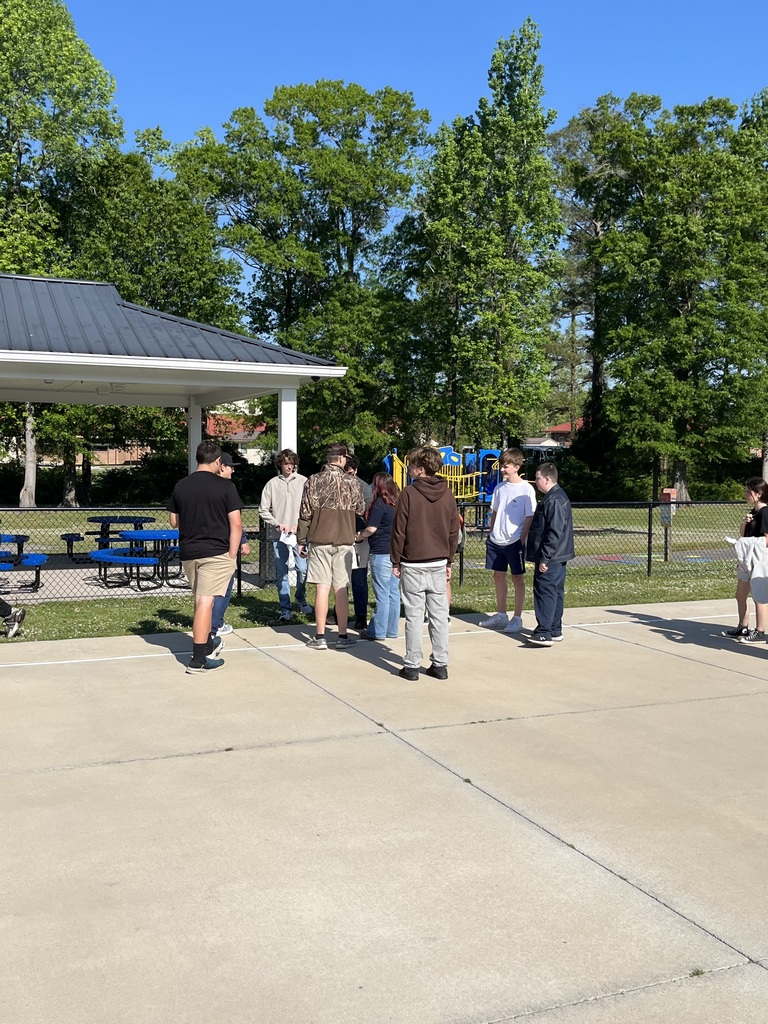 Alliances making connections or enemies, learning causes of World War I. 